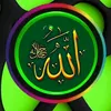 user66161739379664