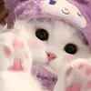 snvnhi