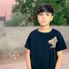 sff_519