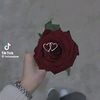 user4291865973204