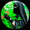 alamin.husen569