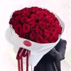 rizatrjkha0