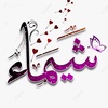 shimaa.ahmed5533