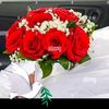 farid.alish