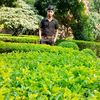 roubaide.ahmed