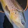 troutfisher54