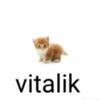 vitalikomaigad