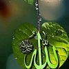 user901674108