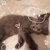 12kittycutie