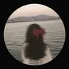 h.ooii7