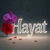 mariamelek659