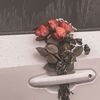 ruby_4003