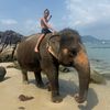 danieltravel4