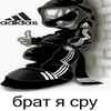 poltna911
