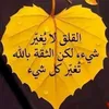 user4396346154724