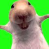 alert_notification4
