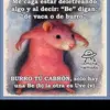 elmemaso40