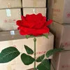 Kho Sỉ Hồng Nhung 1