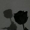 thisque0