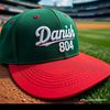 danishhashmi6228
