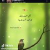 yahoogmail291