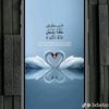 user90174431504017