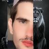 user081615883