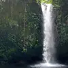 ryanlibra_97