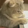 huhuhuh0008
