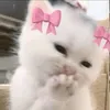 sami__aa3