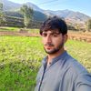 noor.islaim