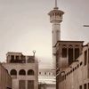 ﴿قرآن كريم ﴾