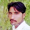 numan.ali996
