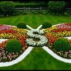 user5074052501681