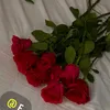 taghred65