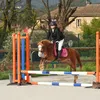 mae230106