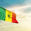 lamine.cisse574