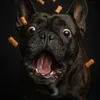 freddyfuchs8