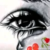 user961322444