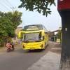 putrahtngbus