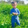 suleman.adamzai