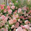 my.dim232