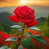 user9523004019190