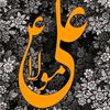 ali.khan.12482