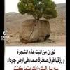 user4337069714370