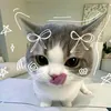karen.abocatal