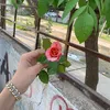 d4lya.azad