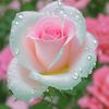 user1151979638032