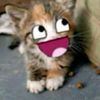 rahaf345678