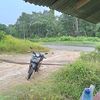 y_bny046